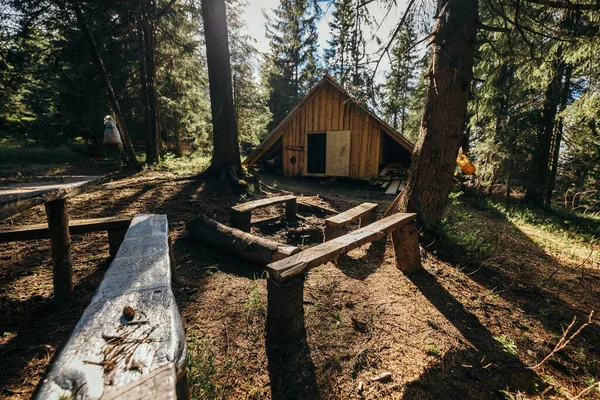 Un primer plano de una zona boscosa — Foto de Stock