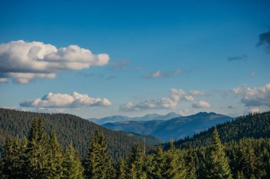 Arkasında dağ olan bir ağaç.