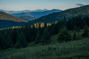 Dağın yamacında bir işaret.