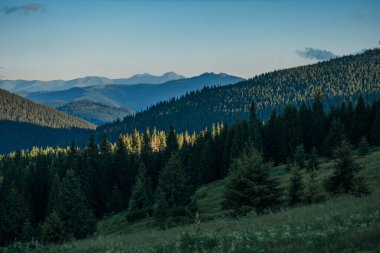 Arkasında dağ olan bir ağaç.