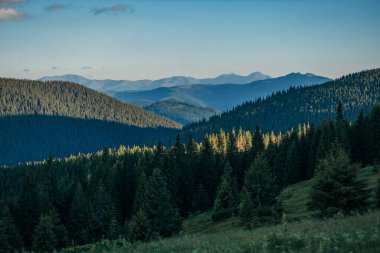 Arkasında dağ olan bir tabela.