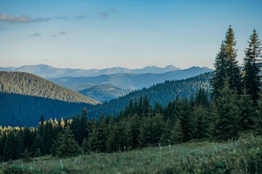 Dağın yamacında bir işaret.
