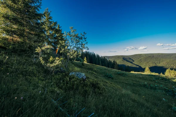 Een bord op een grazige heuvel — Stockfoto