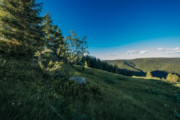 Een bord op een grazige heuvel — Stockfoto