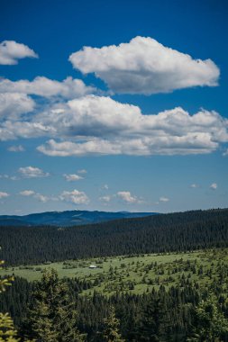Bir dağın önünde duran bir adam