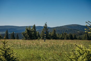 Çimen tarlasının üstünde bir işaret.