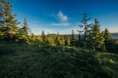 Çimenli bir tepede bir tabela