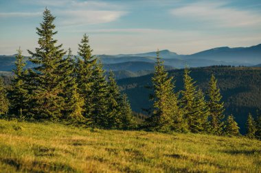 Arkasında dağ olan bir tarla.