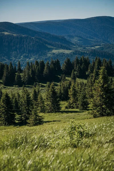Een veld met een berg op de achtergrond — Stockfoto