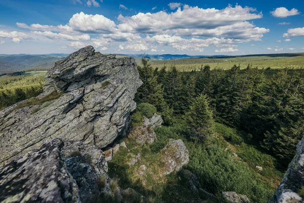 Een rotsachtige berg met bomen op de achtergrond — Stockfoto