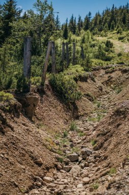 Kanyonda kirli bir patika