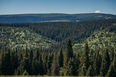 Bir dağın önünde duran bir adam