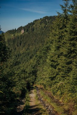 Ağacın kenarında bir tabela