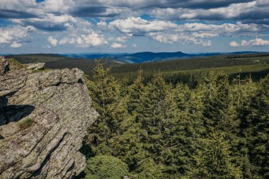 Dağın tepesinde duran bir koyun sürüsü