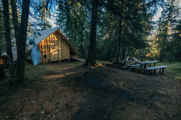 Una casa en medio de un bosque — Foto de Stock