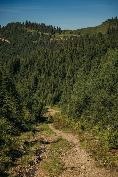 Een bord op de kant van een berg — Stockfoto