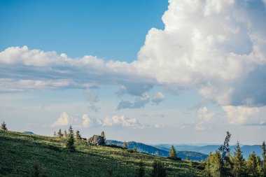 Çimenli bir tepede bir tabela