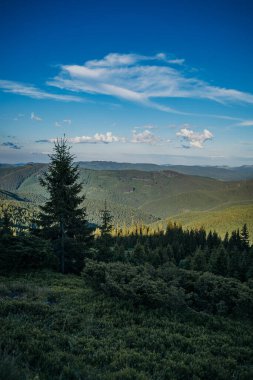 Dağın yamacında bir işaret.
