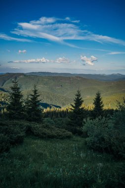 Bir dağın önünde bir işaret.
