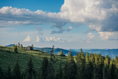 Gökyüzünde bir grup bulut