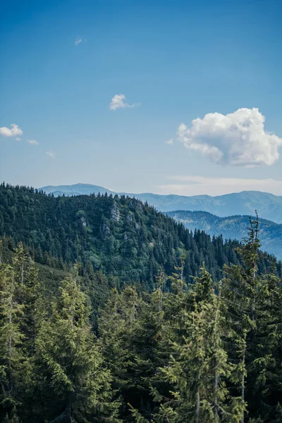 Een boom met een berg op de achtergrond — Stockfoto