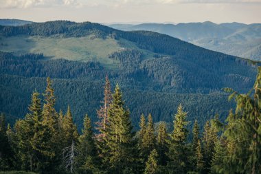 Arkasında dağ olan bir kanyon.