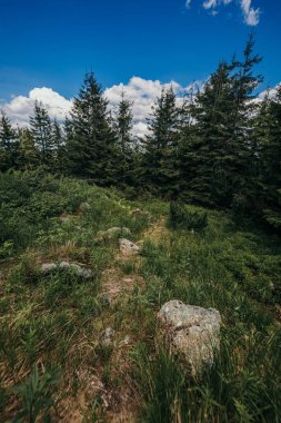 Tepenin kenarında bir tabela
