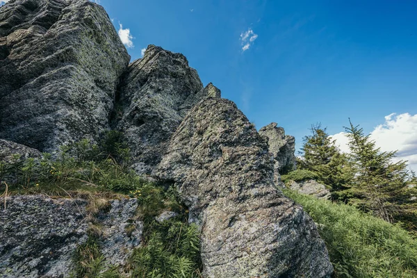 Una montaña rocosa con árboles en el fondo — Foto de Stock