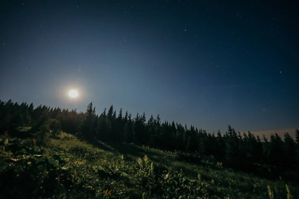 Вид на небо, выглядывающий ночью — стоковое фото