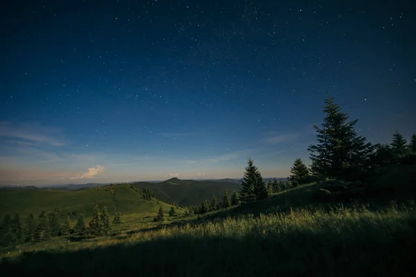 Un gran campo verde con árboles en el cielo nocturno — Foto de Stock