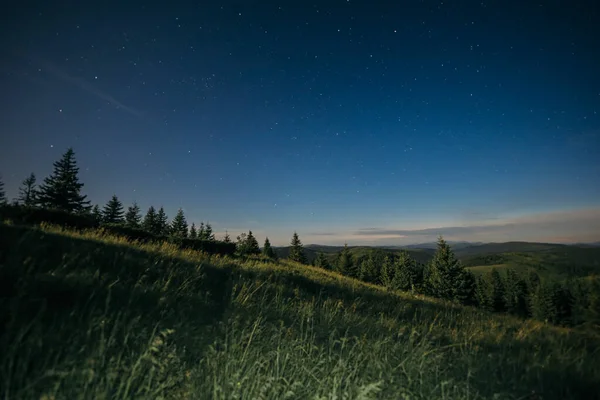 Un primer plano de un exuberante campo verde — Foto de Stock