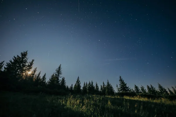 Una vista del cielo mirando hacia arriba por la noche — Foto de Stock