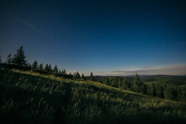 Un primer plano de un exuberante campo verde — Foto de Stock