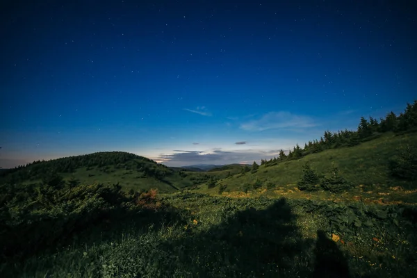 Un primer plano de un exuberante campo verde — Foto de Stock