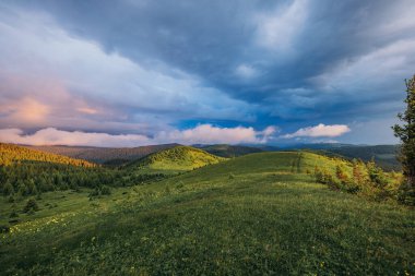 Gökyüzünde bir grup bulut yeşil bir tarlanın üzerinde