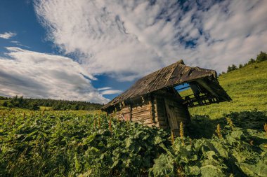 Çimlerle kaplı bir arazinin tepesinde bir kale.