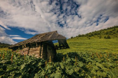 Dağın yamacında bir işaret.