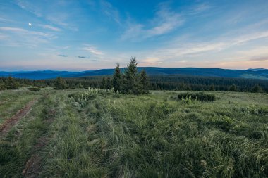 Yemyeşil bir tarlanın kenarında bir tabela.