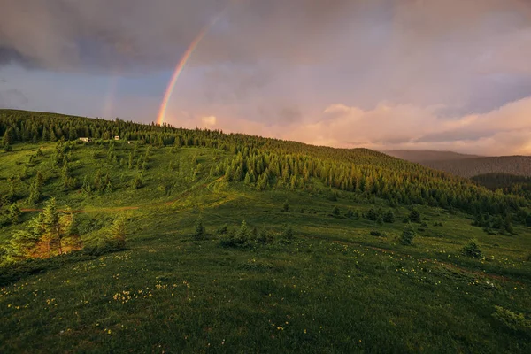 A rainbow over a field — Stock Photo, Image