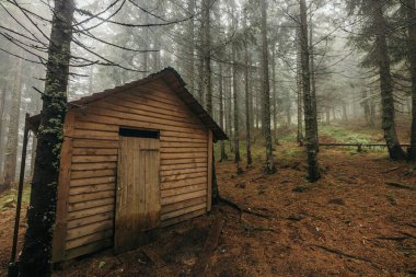 Arkasında ağaçlar olan bir ev.