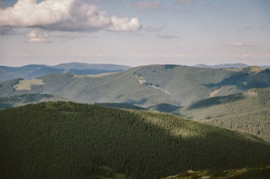 Dağın tepesinde duran bir koyun sürüsü