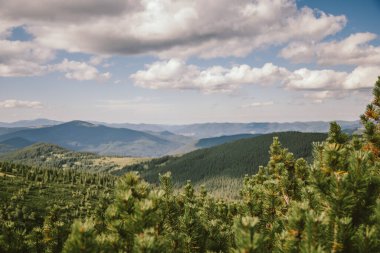 Gökyüzünde bir grup bulut