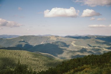 Arka planda büyük bir dağ.
