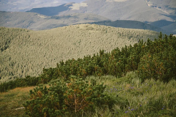 Un panneau sur le flanc d'une montagne — Photo