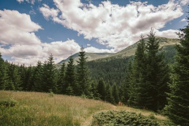 Çimlerle kaplı bir arazinin tepesinde bir kale.
