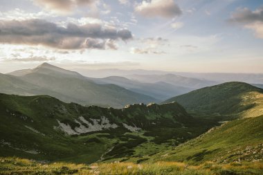 Bir koyun sürüsü yemyeşil bir yamacın tepesinde duruyor