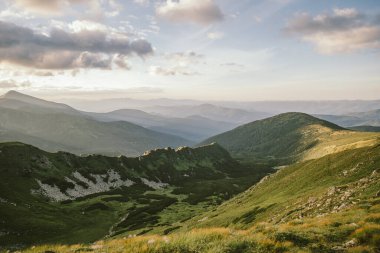 Bir koyun sürüsü yemyeşil bir yamacın tepesinde duruyor