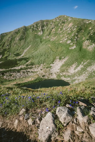 多石的山,旅行 — 图库照片