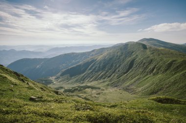 Arkasında dağ olan bir tarla.