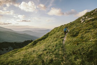 Bir koyun sürüsü yemyeşil bir yamacın tepesinde duruyor